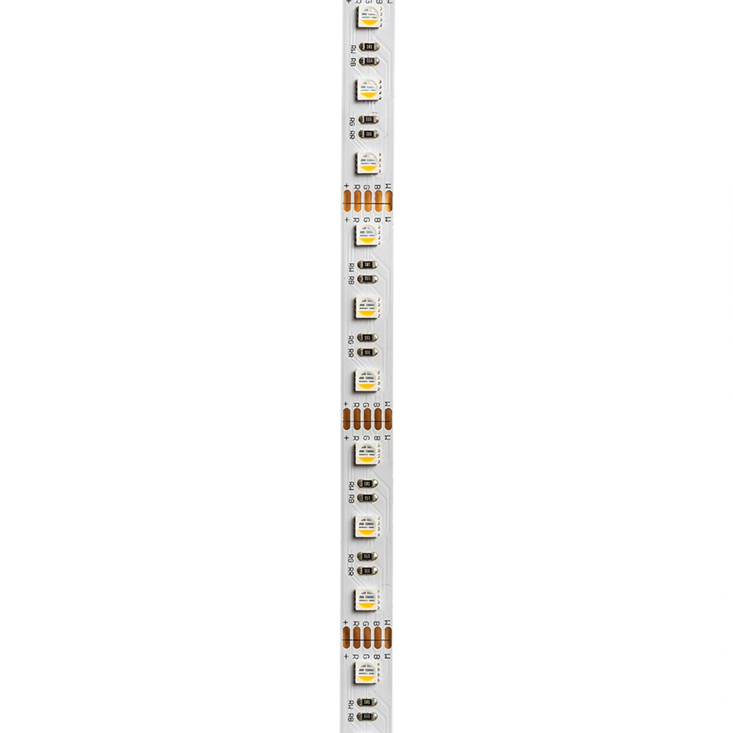 RENDL LED-strip LED STRIP ORION RGBW LED-strip 5m 12V= LED 96W 120° RGBW G13820 10