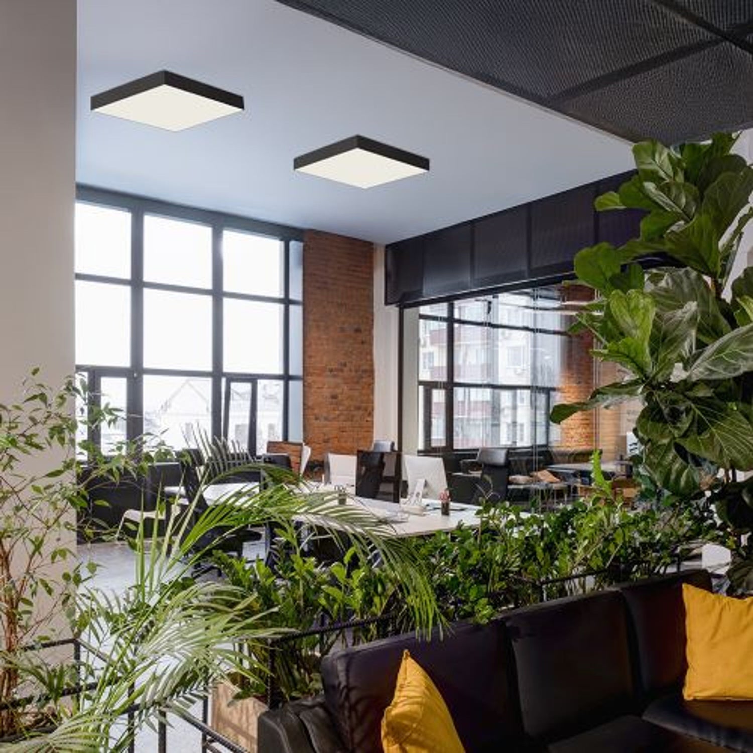 Таванни лампи