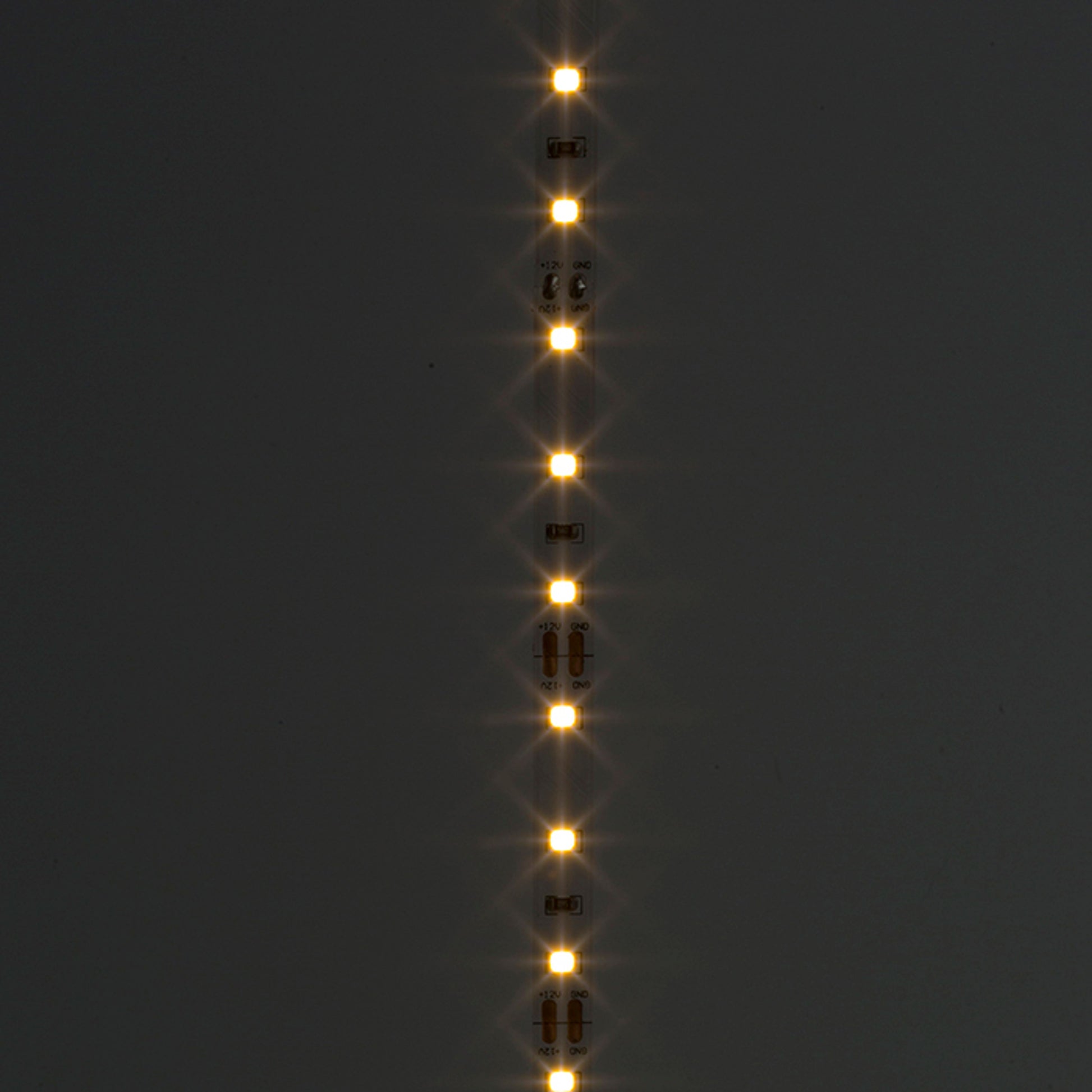 RENDL LED-strip LED STRIP IP20 5m    12V= LED 60W  3000K G12366 5