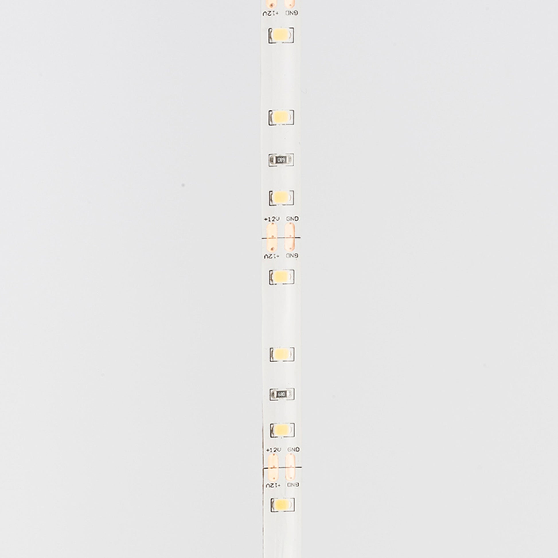 RENDL LED-strip LED STRIP IP54 5m    12V= LED 60W IP54  3000K G12371 3