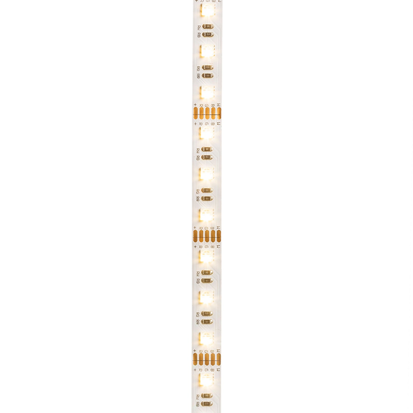 RENDL LED-strip LED STRIP ORION RGBW LED-strip 5m   12V= LED 96W 120°  RGBW G13820 1