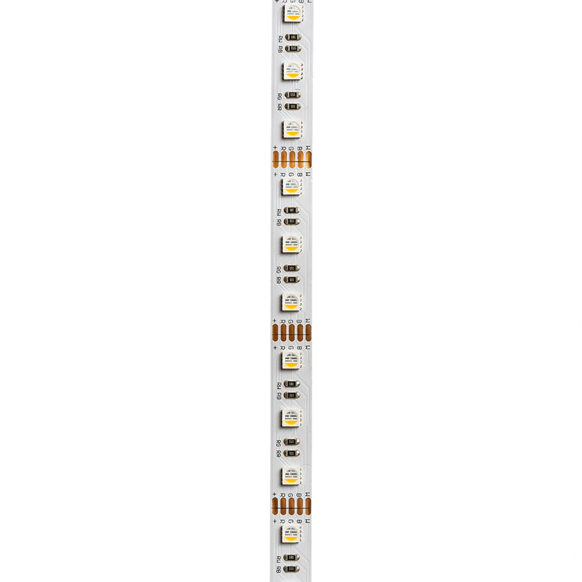 RENDL LED-strip LED STRIP ORION RGBW LED-strip 5m   12V= LED 96W 120°  RGBW G13820 10