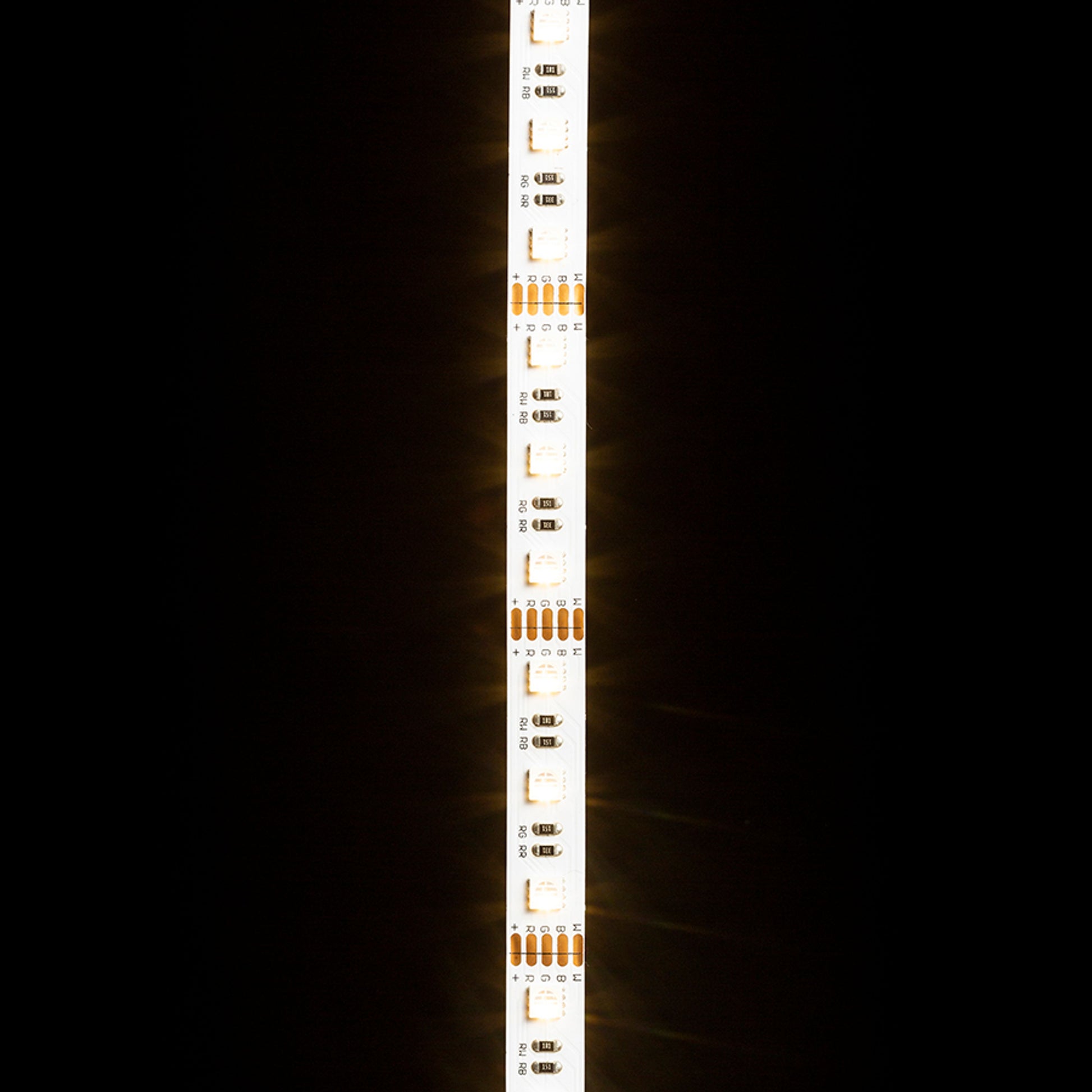 RENDL LED-strip LED STRIP ORION RGBW LED-strip 5m   12V= LED 96W 120°  RGBW G13820 9