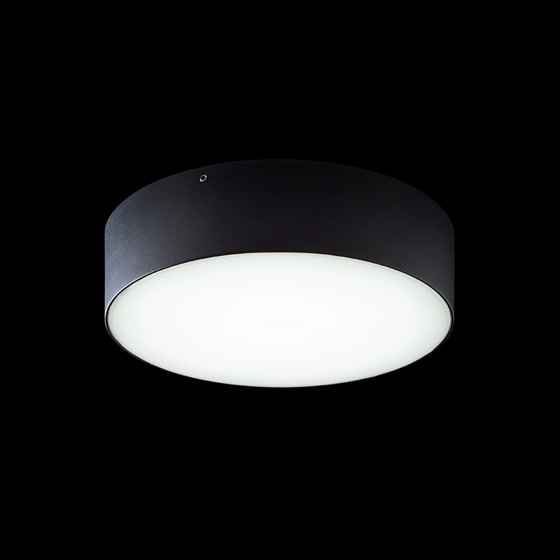 RENDL outdoor lamp LARISA OUT 22 surface mounted black  230V LED 20W IP65  3000K 4000K 5700K R14126 4