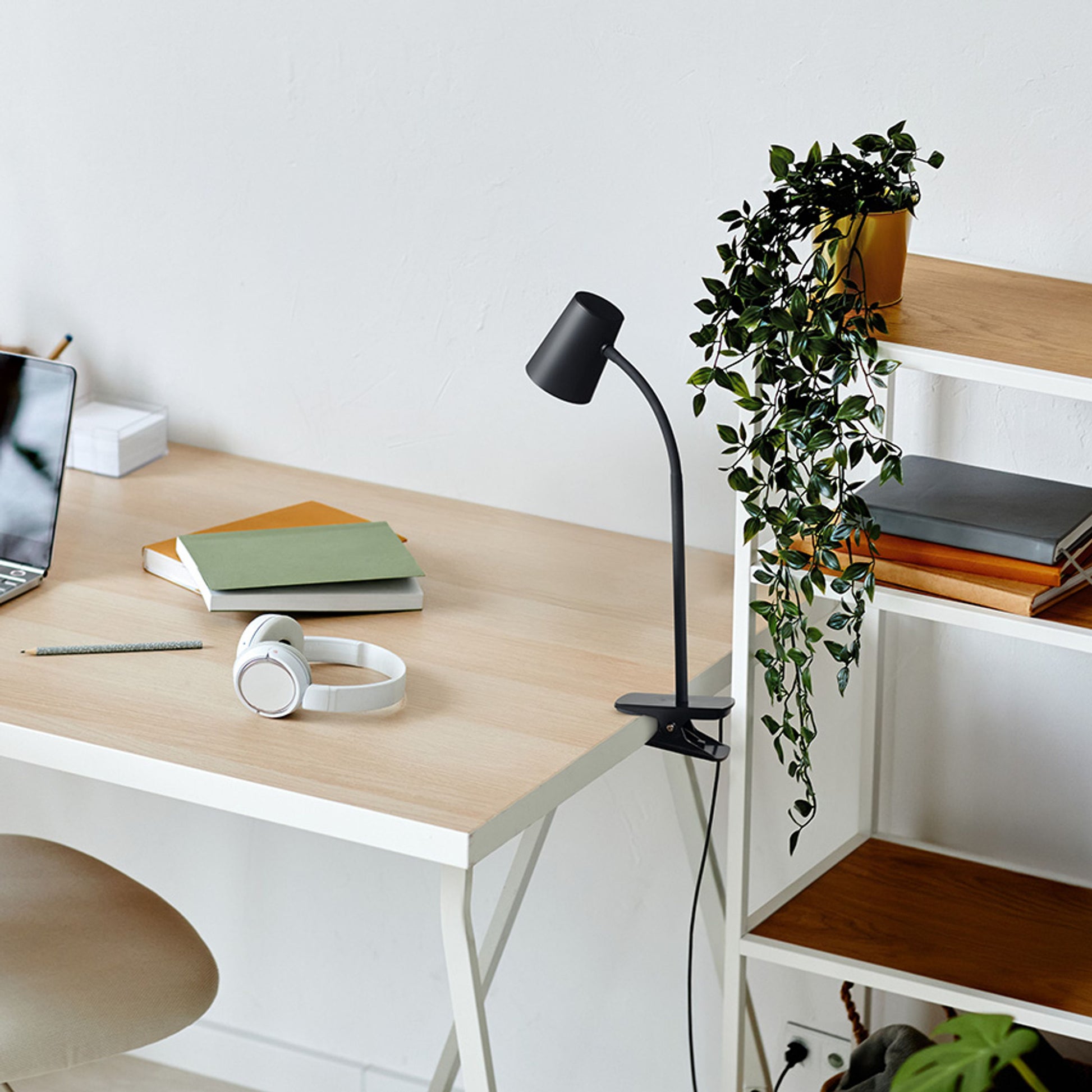 RENDL spotlight VERINA DIMM on clip black  230V LED 4.5W 100°  3000K R14283 8