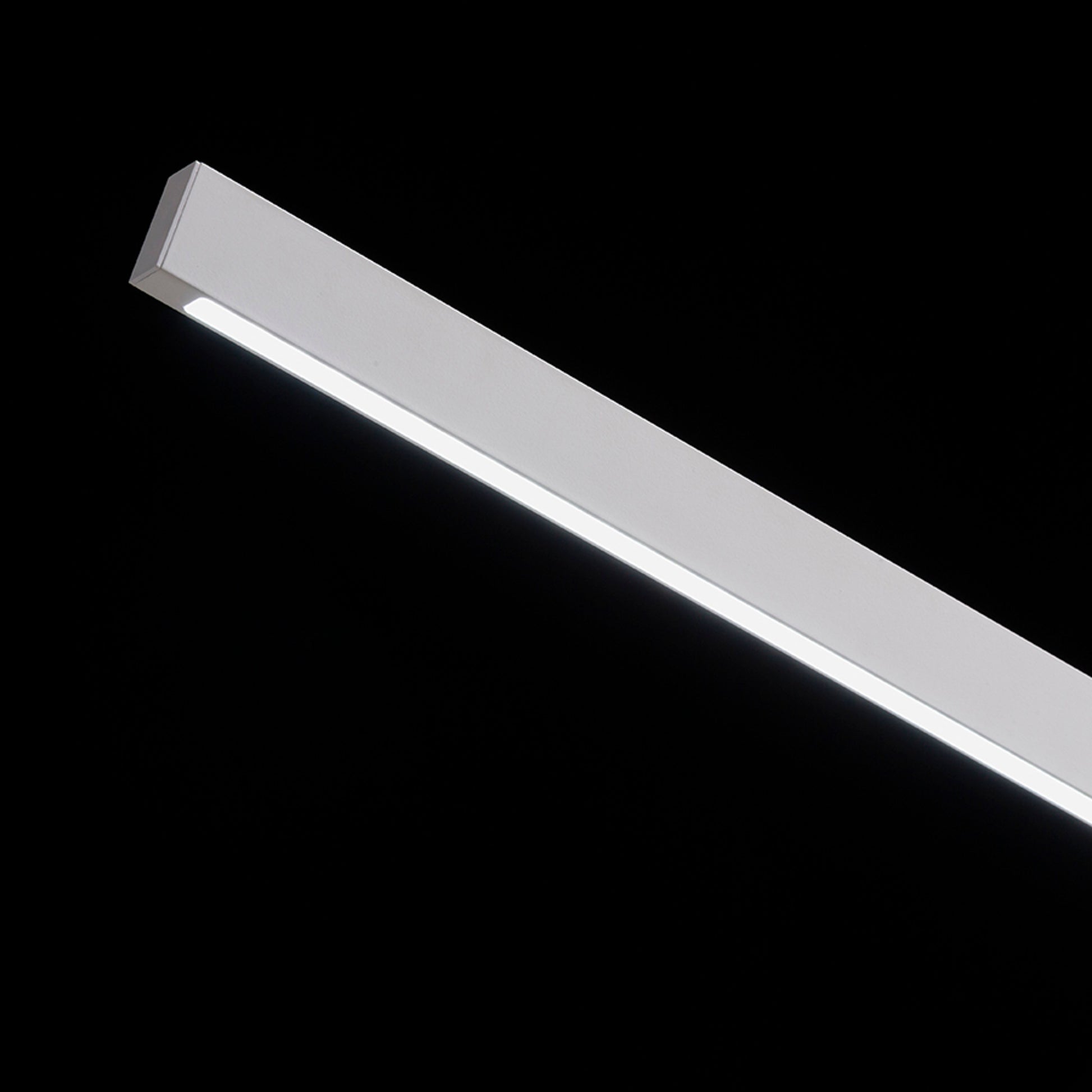 RENDL table lamp ROD DIMM table white  230V LED 5.5W  3000K 4000K 6500K R14294 5